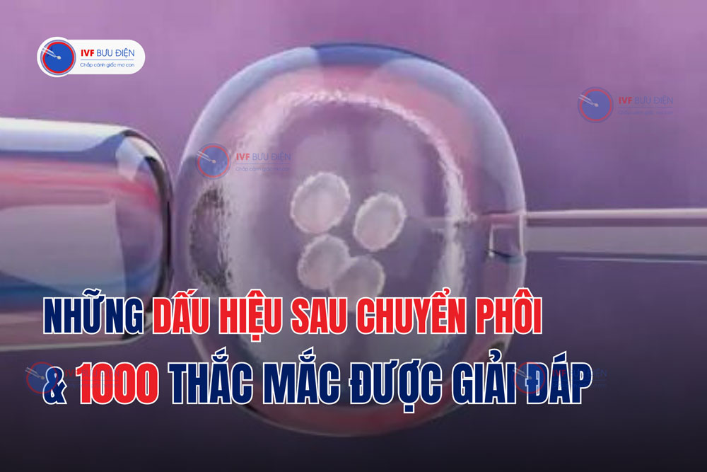 Những dấu hiệu sau chuyển phôi & 1000 thắc mắc được giải đáp