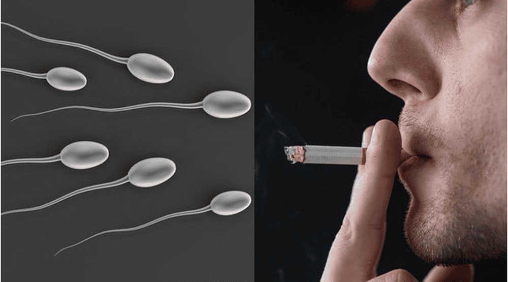 Các chất kích thích không tốt cho tinh trùng