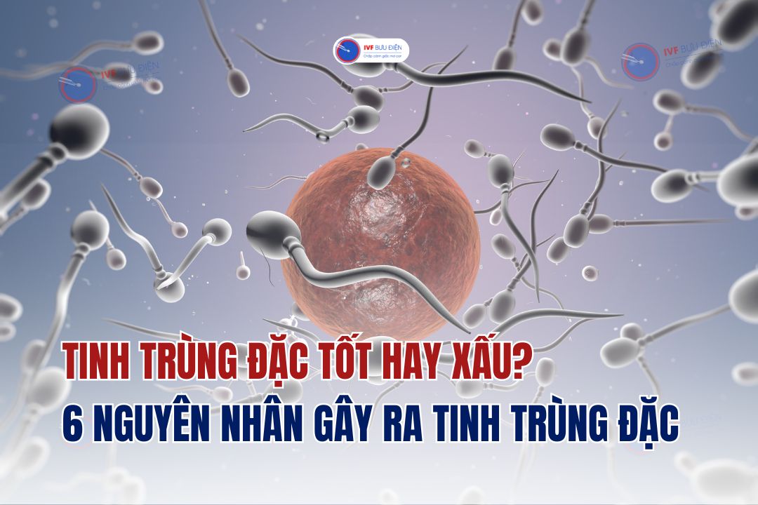 Tinh trùng đặc là tốt hay xấu? 6 nguyên nhân gây ra hiện tượng tinh trùng đặc