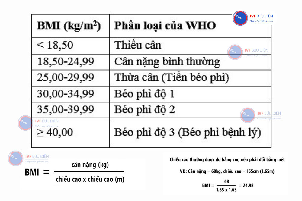 Cách tính chỉ số BMI cho người làm IVF