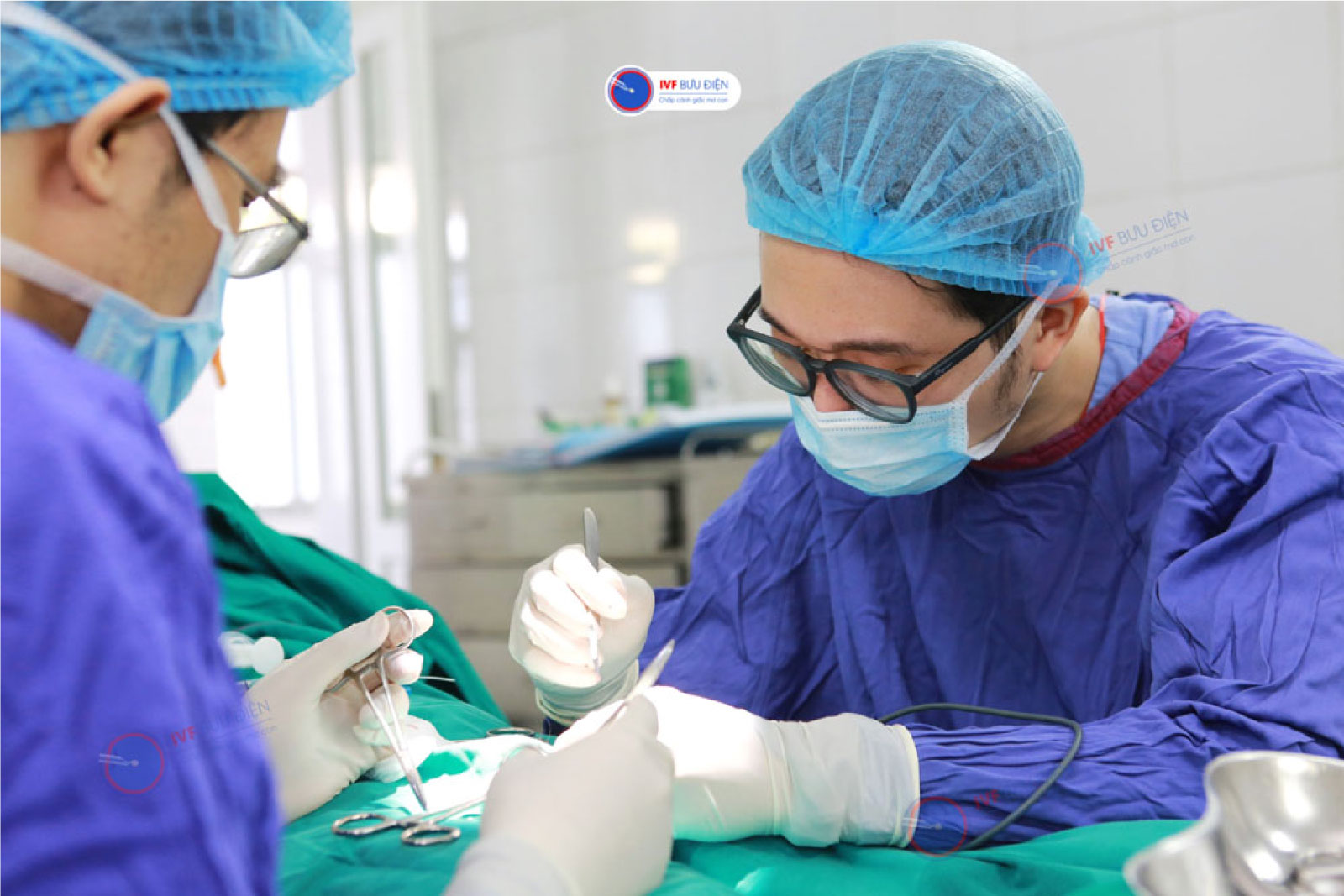 Tăng cường ứng dụng công nghệ hiện đại để nâng cao chất lượng phôi và khả năng mang thai.