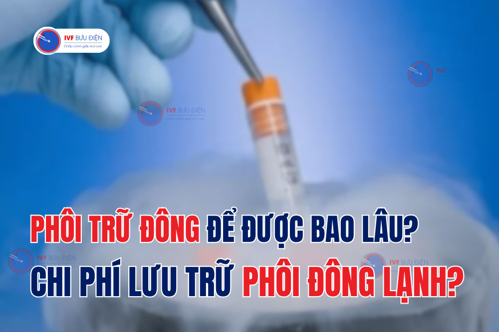 Phôi trữ đông để được bao lâu? Chi phí lưu trữ phôi đông lạnh?