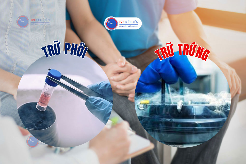 sự khác nhau của trữ phôi và trữ trứng