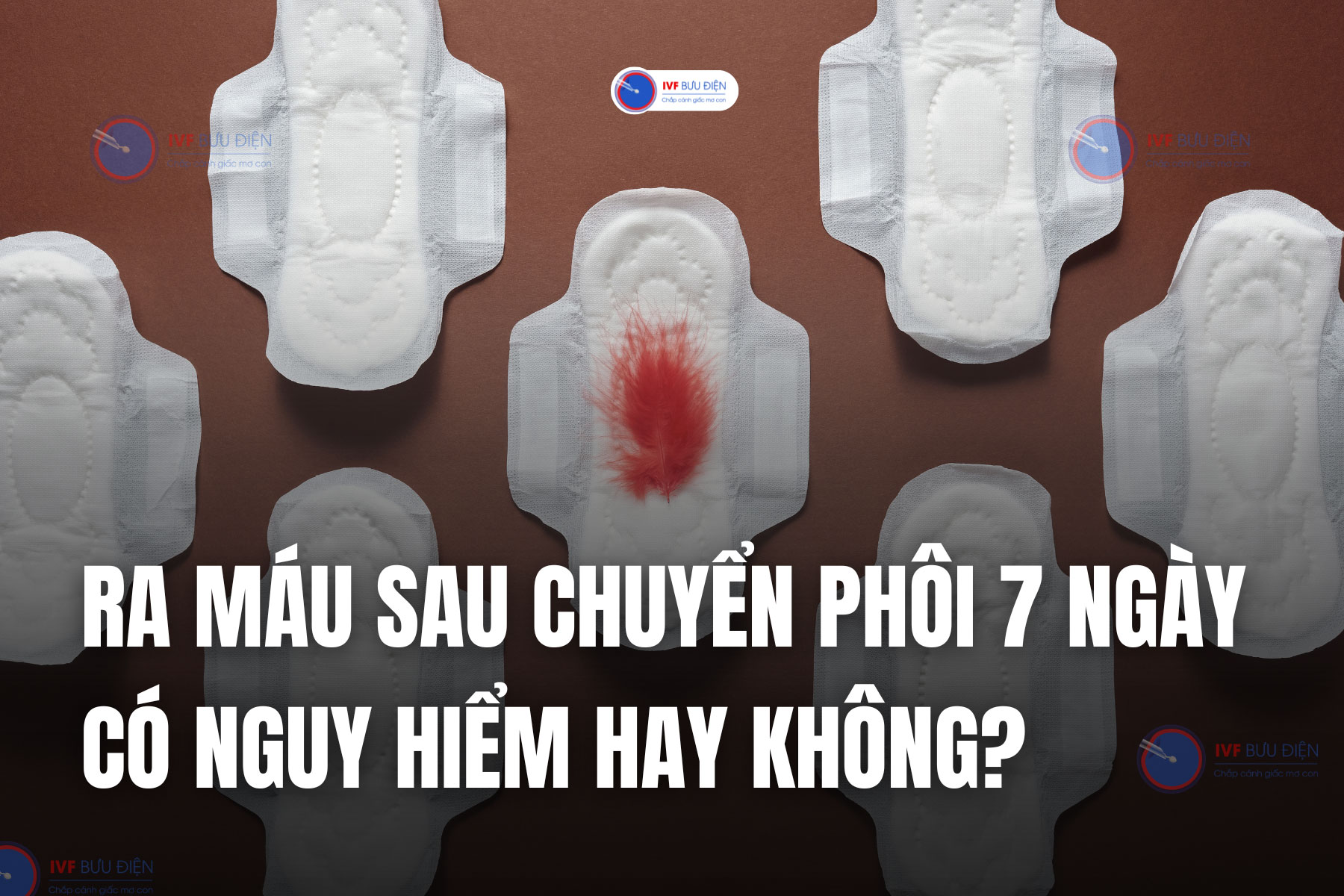 Ra máu sau chuyển phôi 7 ngày có nguy hiểm không?