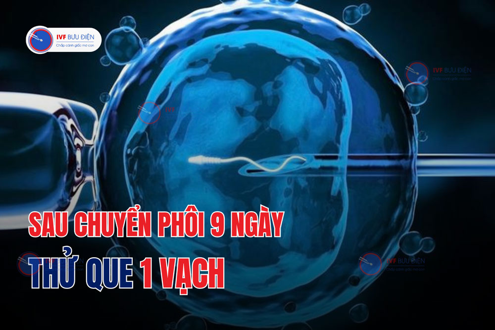 Sau chuyển phôi 9 ngày thử que 1 vạch có sao không?