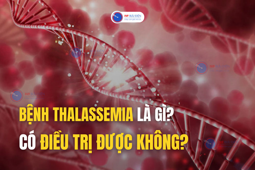 Bệnh Thalassemia là gì? Có điều trị được không?