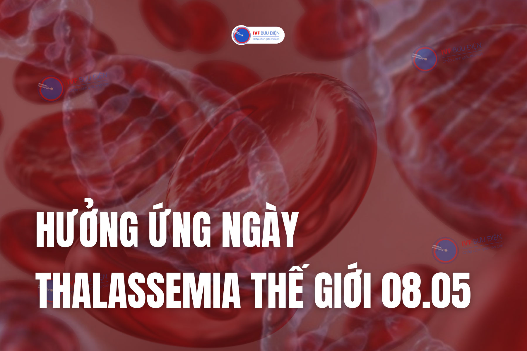 Đáng báo động, hơn 8000 trẻ em bị bệnh Thalassemia mỗi năm tại Việt Nam