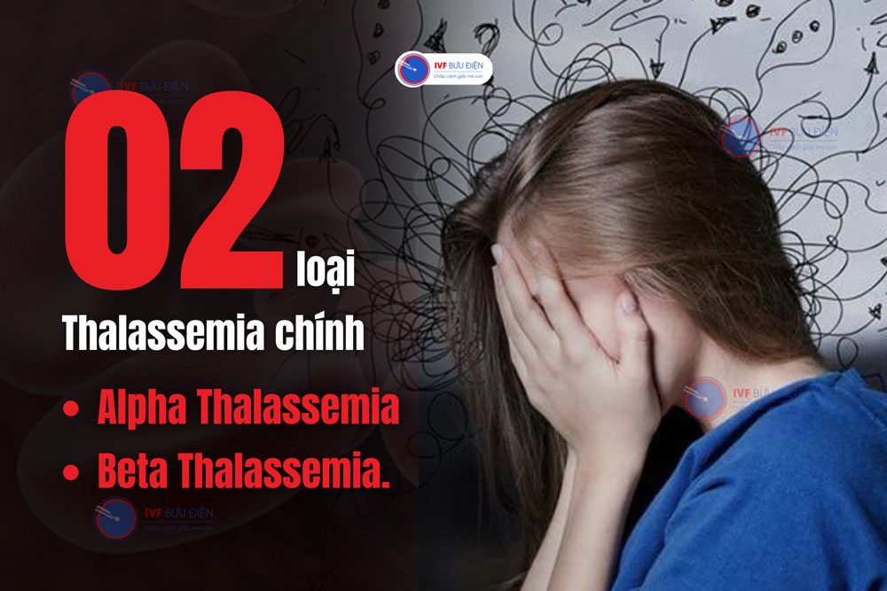 Có 2 thể Thalassemia chính bạn cần lưu ý