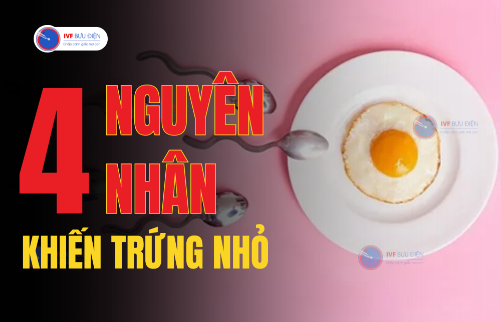 uống thuốc kích trứng mà vẫn không có thai