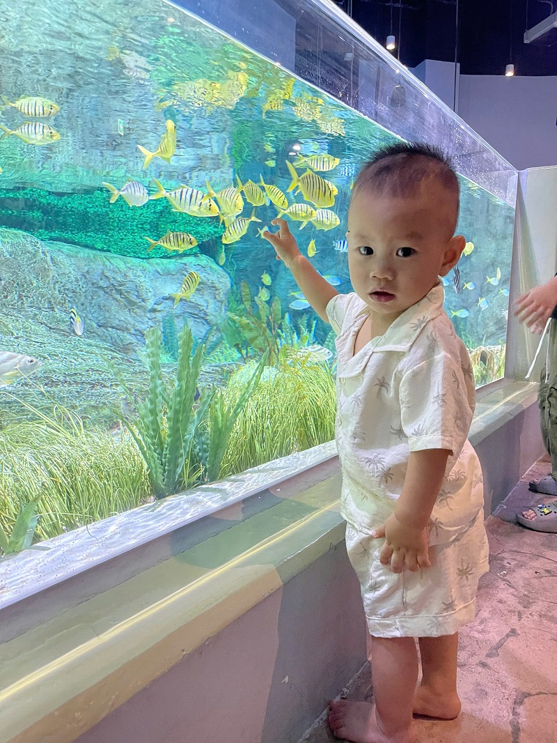 Bé Sơn Tùng hơn 1 tuổi 